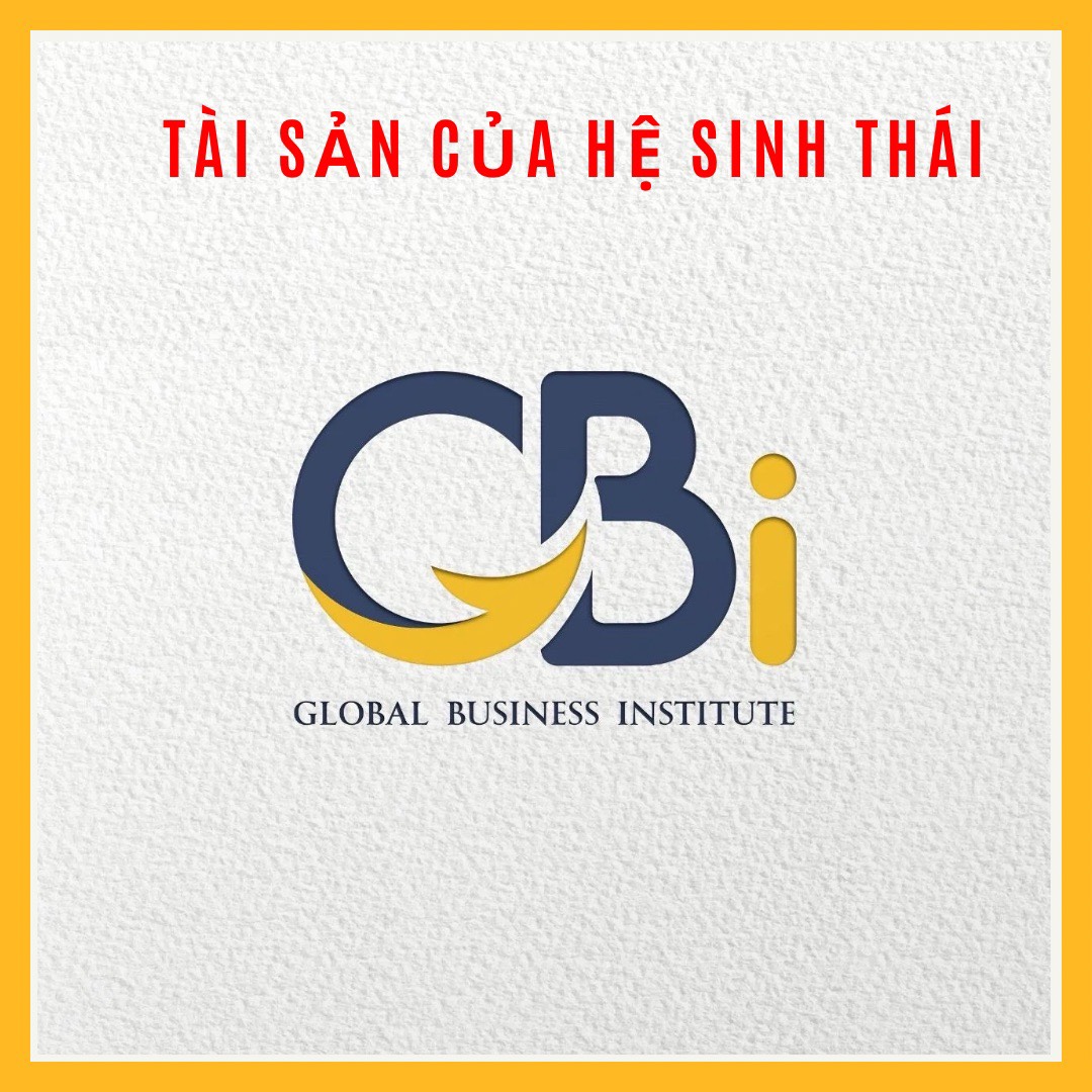 Nội Bộ GBi: Tài Sản Của Hệ Sinh Thái